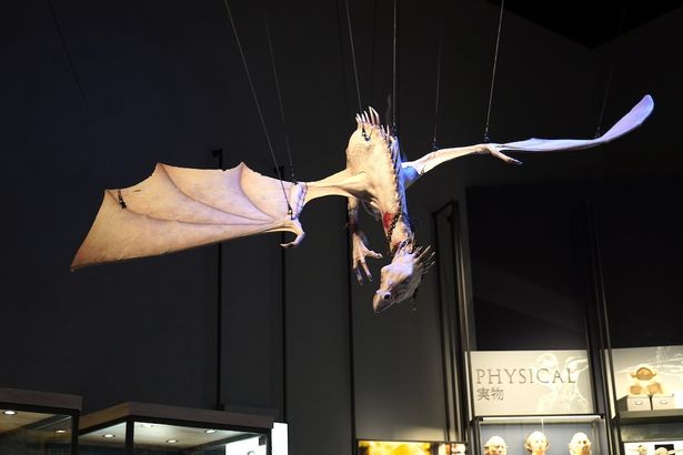 展示の様子