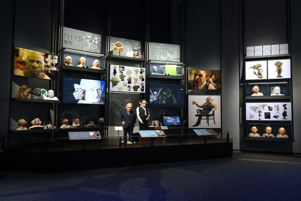 展示の様子