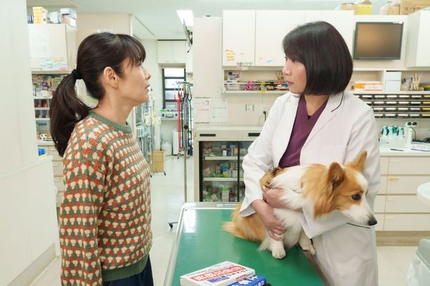 映画『おっさんのパンツがなんだっていいじゃないか！』の場面写真