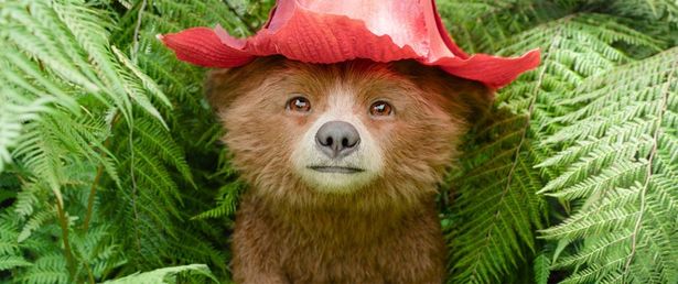 まだ小さかった頃のパディントン(『パディントン 消えた黄金郷の秘密』)
