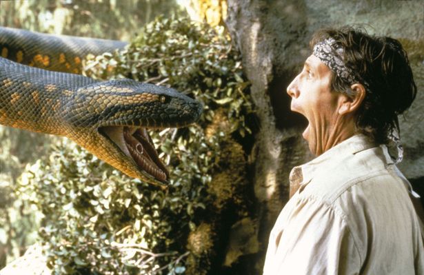 1990年代の動物パニックの代表格といえば、やっぱりアナコンダ！