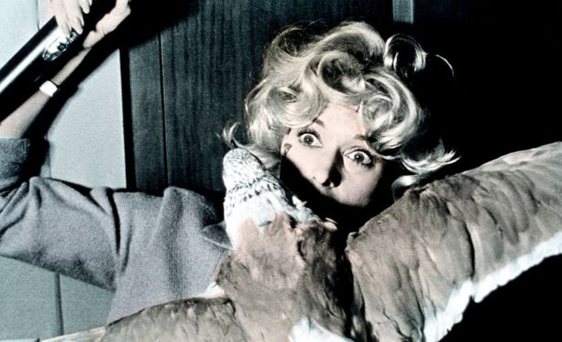 ヒッチコックの『鳥』をはじめ、さまざまな深いテーマを携えてきた動物パニック映画
