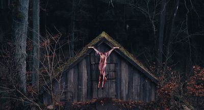 “どんなホラー映画より残酷”と評された『デビルズ・バス』公開に合わせ、恐ろしい実話映画をピックアップ！