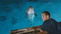 リュック・ベッソン監督の原点にして頂点『グラン・ブルー 完全版』が4Kで公開へ！刷新された本予告も