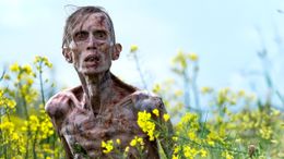 オスカー監督＆脚本家出身の気鋭監督、“黄金コンビ”が18年ぶりに復活！