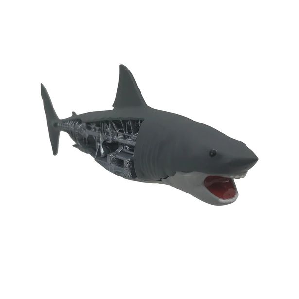サメです Amazon | 4Dビジョン 立体パズル サメ 解剖モデル 並行輸入品