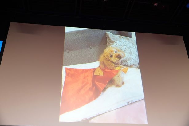 中島健人、愛犬ボニータの写真も公開！