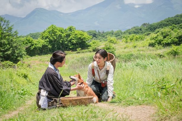 信州で暮らす早瀬の妹、サチ(當真)は母と一緒に兄の無事を祈りながら懸命に生きる