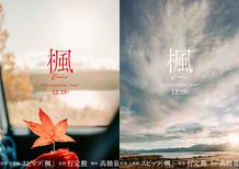 ニュージーランドでのロケーションが色彩を加える『楓』超ティーザービジュアル