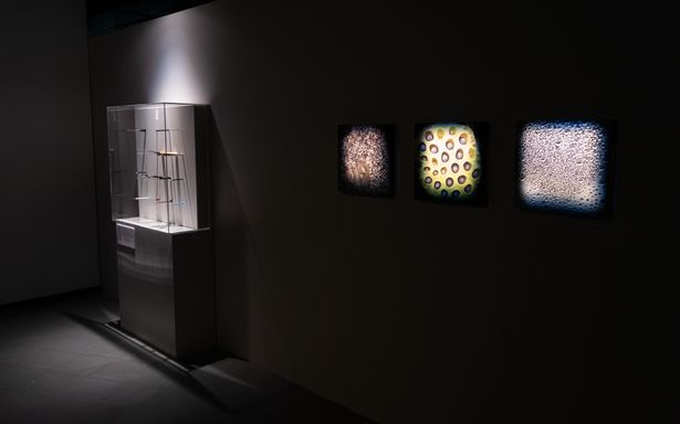 会場内には、およそ50の“恐怖心”が展示されている