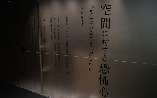 場所と身体感覚を繋ぐ、「空間」に対する恐怖心。比較的イメージしやすいものだろう