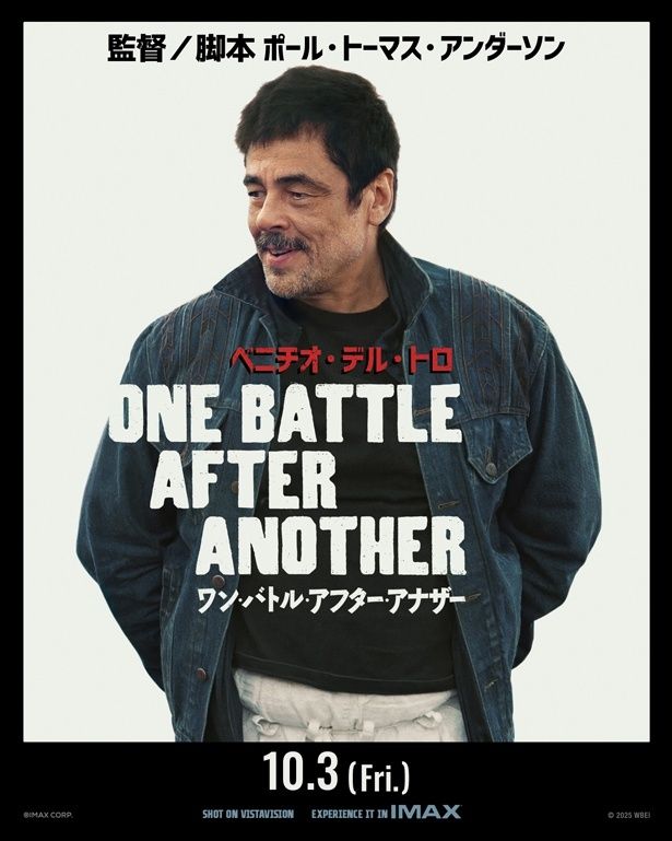 ベニチオ・デル・トロ演じる謎の空手道場のセンセイ