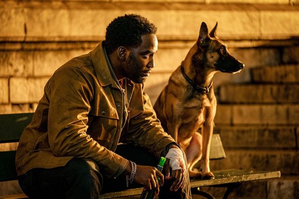 ジョンをねらう殺し屋トラッカーも愛犬との抜群のコンビネーションを見せる(『ジョン・ウィック：コンセクエンス』)