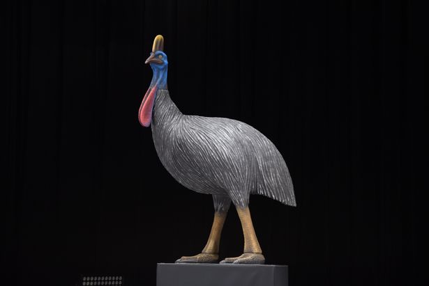 今作の“もう一人の主役”とも言えるヒクイドリが登場
