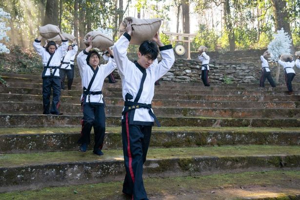 世界の道場の特訓方法も見ることができる(「コブラ会」)