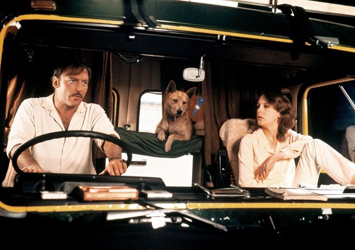 『サイコ2』リチャード・フランクリン監督の『ロードゲーム』が、約45年を経て日本初公開決定