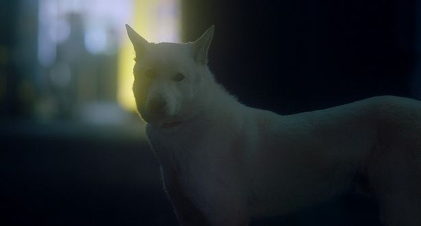 『君と私』の場面写真