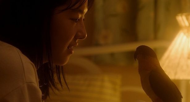 『君と私』の場面写真
