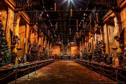 特別企画「ホグワーツ・イン・ザ・スノー」開催決定！