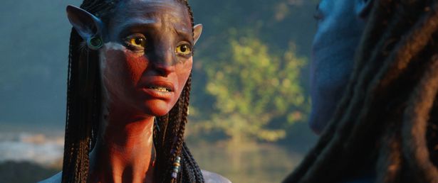 ゾーイ・サルダナ演じるナヴィの女性、ネイティリ