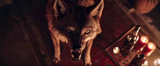 まるで『クジョー』のよう！コヨーテが人を襲うモンスターパニック『Coyotes』