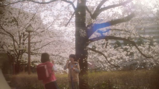 【写真を見る】転校生同士という共通点から、しだいに仲を深めていく貴樹と明里(『秒速5センチメートル』)