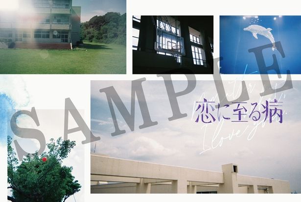 【写真を見る】入場者プレゼント第2弾として「長尾謙杜＆山田杏奈 インタビュー映像先行視聴特典付きエモーショナルポストカード」の配布が決定