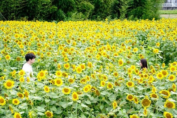 謎めいた上条の過去とは？