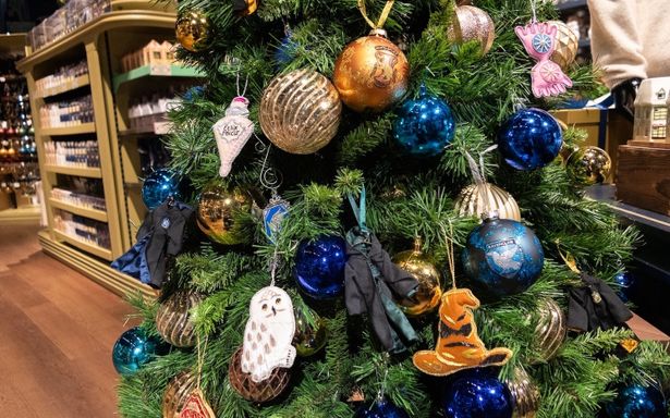 飾り付けから楽しくなること間違いなし！