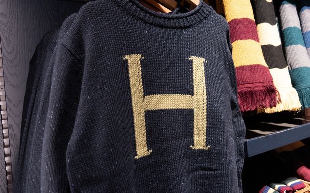 本編ではなく未公開シーン集に登場した、ハリーのイニシャル入りセーター