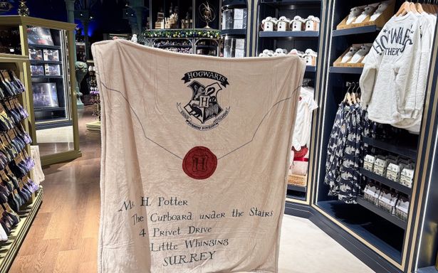 「入学許可証ブランケット」は超ビッグサイズ