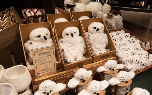 レンジでチンしてあったかい、「ヘドウィグ ウォーミーズ」