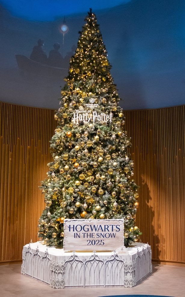 スタジオツアー東京内はすっかりクリスマス仕様！