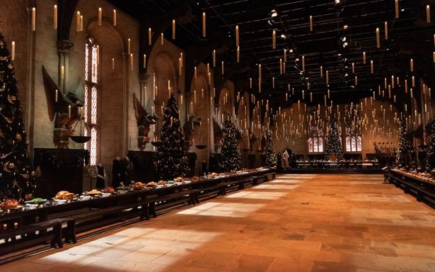 映画で観たマジカルな瞬間を、目の前で体感することができる