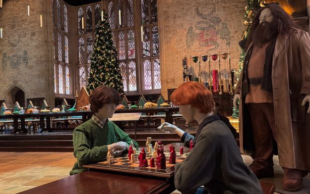 クリスマス休暇のシーンを再現するように、チェスに興じるハリーとロンの姿も