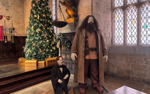 ハグリットがハリーたちを見守っている