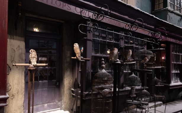 展示では、昼と夜それぞれの光景を交互に楽しむことができる