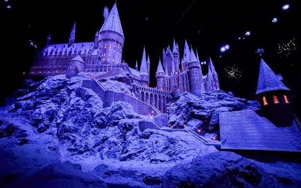 プロジェクションマッピングの効果で、より幻想的な姿を見ることができる