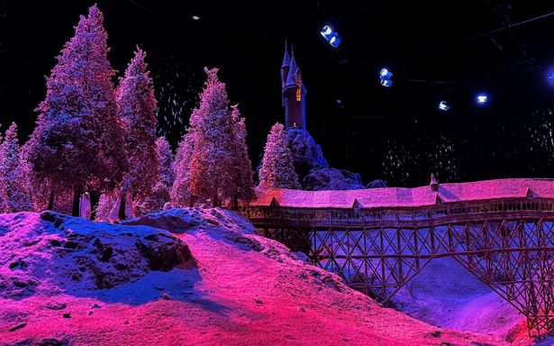 奥に見える塔がふくろう小屋。『ハリー・ポッターと炎のゴブレット』でチョウ・チャンをダンスに誘うシーンはこの場所で