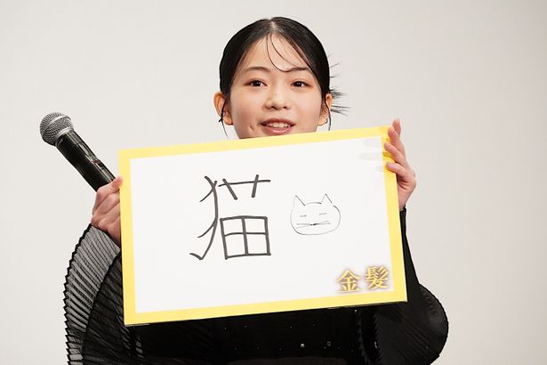 「猫にハマっています！」