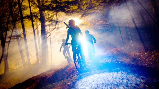 今後のホラー映画界を語る上で欠かせないシリーズとなること間違いなし！(画像は『Kids vs Alien.』より)