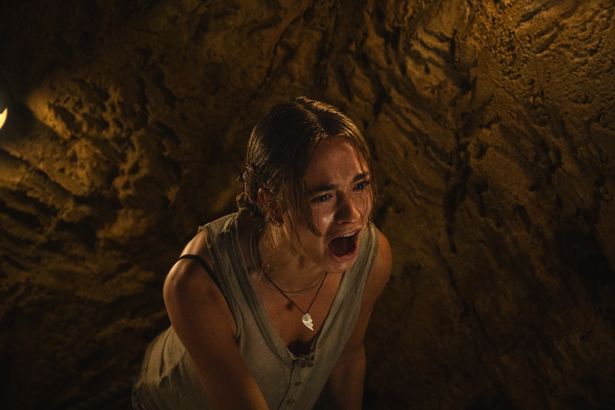 “新時代のポップコーンムービー”と大絶賛！『おさるのベン』が日本にやってくる！