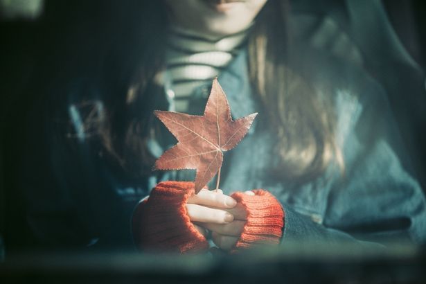 スピッツの「楓」は数々のアーティストにカバーされ、高校の合唱曲の定番にもなるなど多くの人々に愛され、歌い継がれてきた