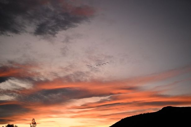 ニュージーランドの澄んだ空気が感じられる