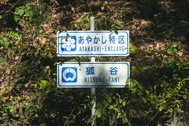 「あやかし特区」「狐谷」の標識