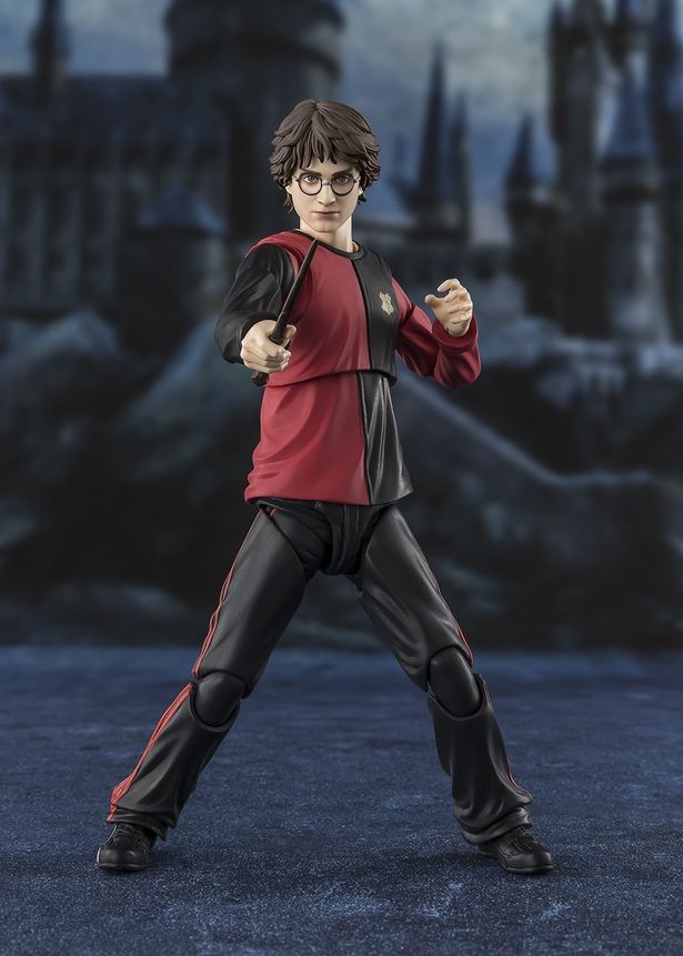 映画シリーズスタートから25周年…『ハリー・ポッターと炎のゴブレット