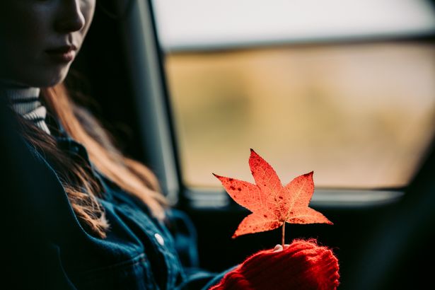 【写真を見る】ストーリーと密接につながる、スピッツの原案楽曲のタイトルでもある“楓”の花言葉は？