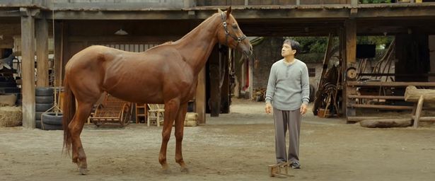 コミカルなかけ合いでも楽しませてくれる(『ライド・オン』)
