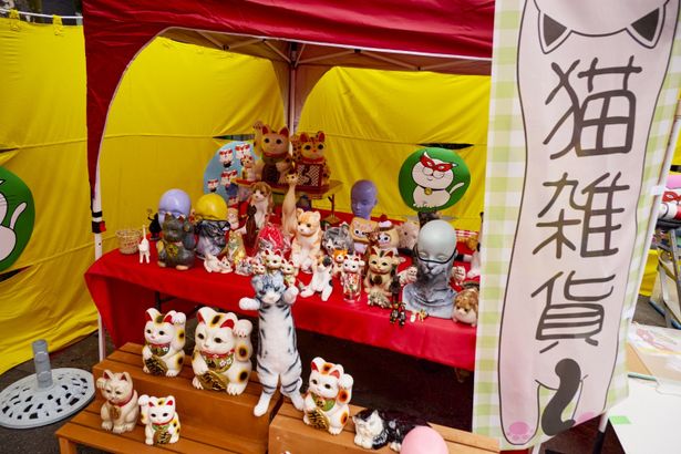 境内はとにかく猫・猫・猫まみれ！