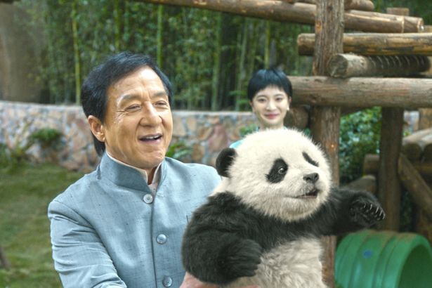 とにかくかわいいパンダも本作の魅力